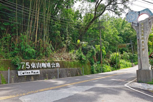  175東山咖啡公路