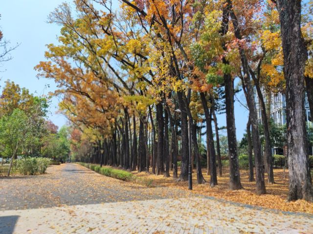 茂林景點剪影 09-新威森林公園