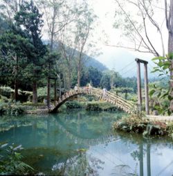  南投溪頭大學池