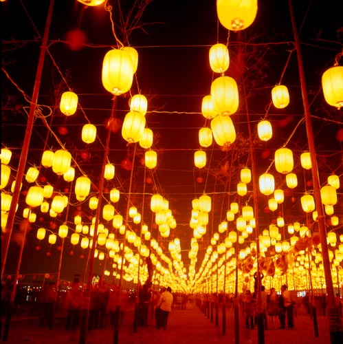  2005台灣燈會 祈福燈廊