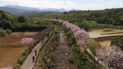  八連溪生態步道