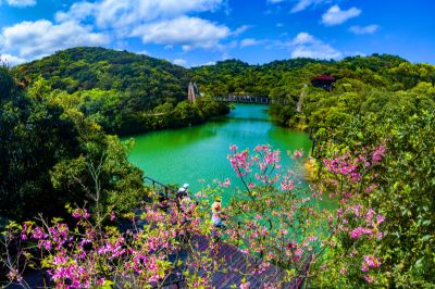  湖光山色