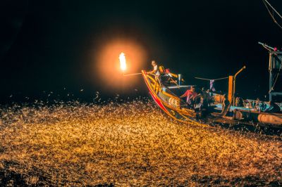  珍貴的夜生活