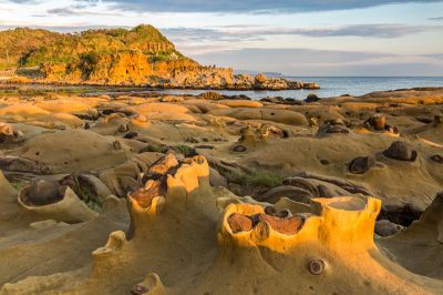  2017采風攝影得獎作品自然組-優選