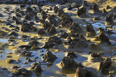  2015采風攝影得獎作品-優選