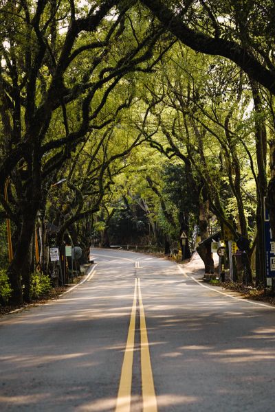  集集綠色隧道