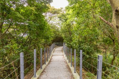 微笑山線 樹林大同山登山步道