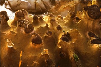  2015采風攝影得獎作品-佳作