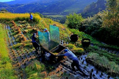  2015采風攝影得獎作品-佳作