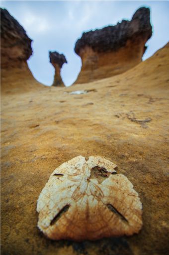  2015采風攝影得獎作品-佳作