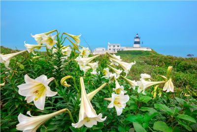  2015采風攝影得獎作品-佳作