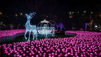  山谷燈光節_谷關公園麋鹿馬車