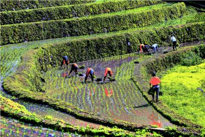  2015采風攝影得獎作品-佳作