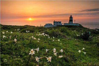  2015采風攝影得獎作品-佳作