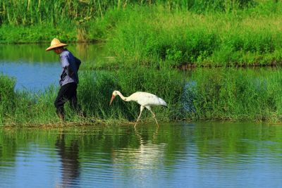  2015采風攝影得獎作品-佳作