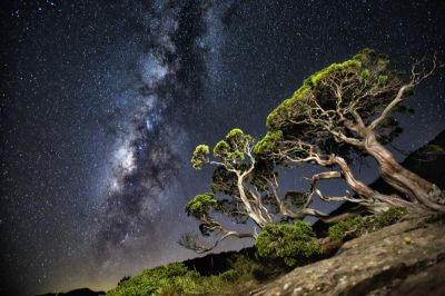 南投星空季 合歡山北峰