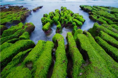  2015采風攝影得獎作品-佳作