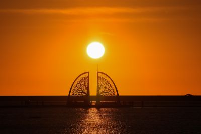 扇形鹽田 05生命之樹_夕陽照