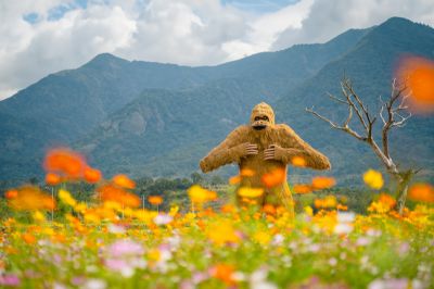 富里稻草藝術景觀區 01