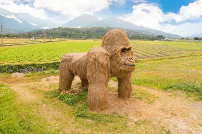 富里稻草藝術景觀區 03