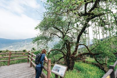 Travel In Taiwan 臺灣觀光月刊英文版—2024.May-June 南投_風櫃斗_張晉瑞攝