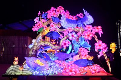 2025台灣燈會 競賽燈區