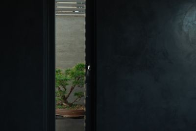台灣觀光日文雙月刊─2025.3月號_封面故事:台灣茶_Part2茶山之旅 莊記茶葉07