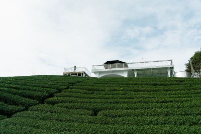 台灣觀光日文雙月刊─2025.3月號_封面故事:台灣茶_Part2茶山之旅_阿里山 1314景觀台
