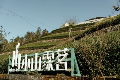 台灣觀光日文雙月刊─2025.3月號_封面故事:台灣茶_Part2茶山之旅_阿里山 小山霂茗