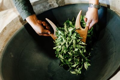 台灣觀光日文雙月刊─2025.3月號_封面故事:台灣茶_Part2茶山之旅_阿里山 小山霂茗