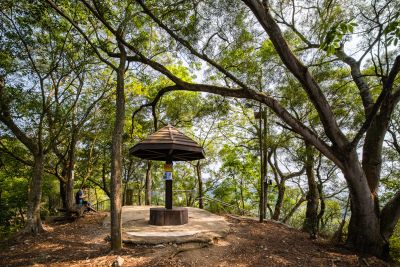  田中森林公園廣場