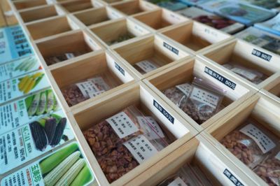  日月潭集集低碳之旅─集集驛站