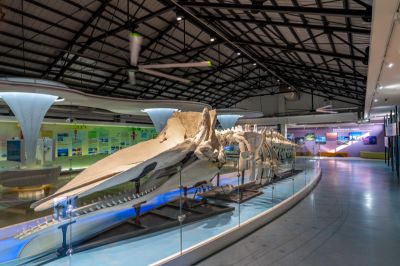  北門遊客中心(北門婚紗美地)