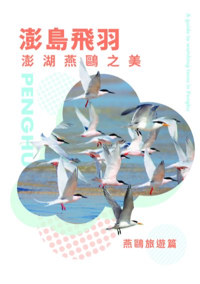  澎島飛羽：澎湖燕鷗之美