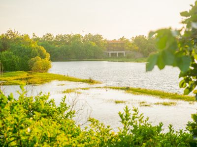  大潭濕地公園