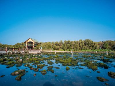  右岸濕地公園