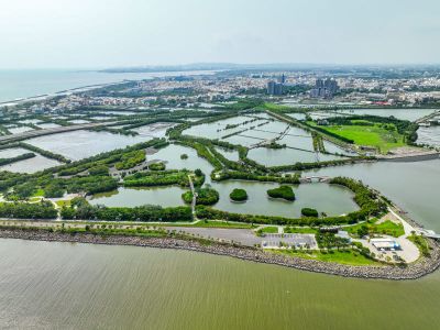  紅樹林濕地公園