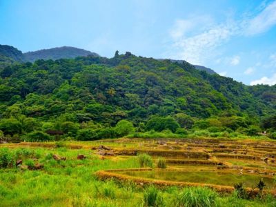  遠望坑親水公園