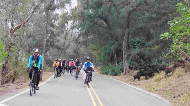  喔熊Biking Go自行車活動-黑森林自行車道2