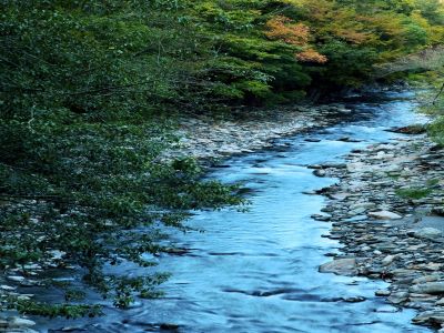  雪霸國家公園臺灣櫻花鉤吻鮭生態中心